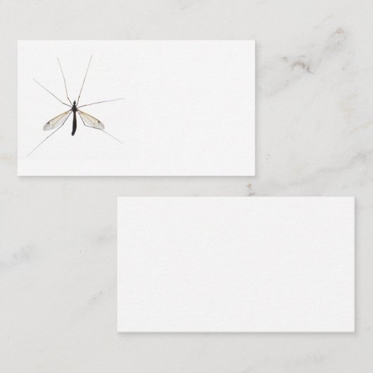 蚊 名刺 (正面/裏面)