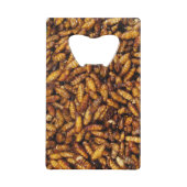 蚕のフライ…タイ通り食品 クレジットカード栓抜き (正面)