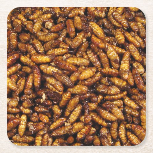 蚕のフライ…タイ通り食品 スクエアペーパーコースター (正面)