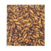 蚕のフライ…タイ通り食品 ノートパッド (正面)