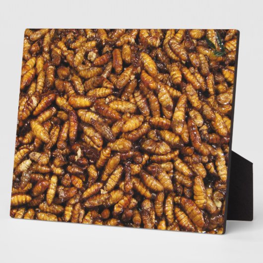 蚕のフライ…タイ通り食品 フォトプラーク (側面)