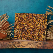 蚕のフライ…タイ通り食品 フォトプラーク (側面)