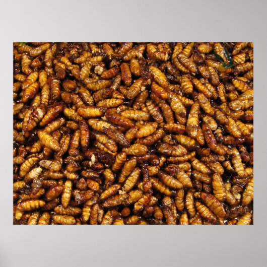 蚕のフライ…タイ通り食品 ポスター (正面)
