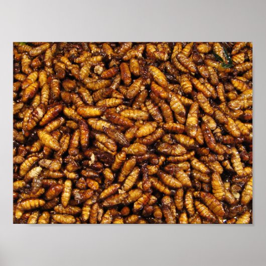 蚕のフライ…タイ通り食品 ポスター (正面)