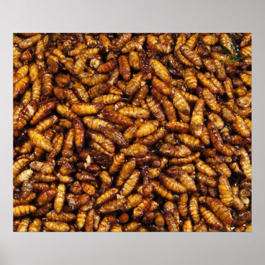 蚕のフライ…タイ通り食品 ポスター (正面)