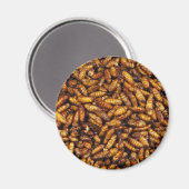 蚕のフライ…タイ通り食品 マグネット (正面/裏面)