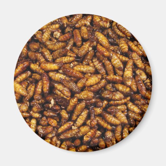 蚕のフライ…タイ通り食品 マグネット (正面)