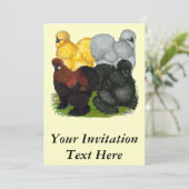 蚕: ルースターの分類 招待状 (スタンド正面)