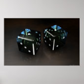 蛇の目 ポスター (正面)