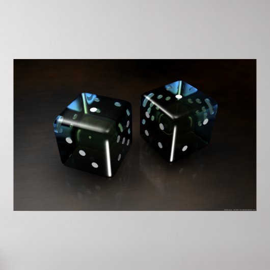 蛇の目 ポスター (正面)