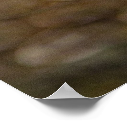 蛇の目 ポスター (角)