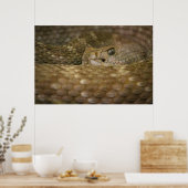 蛇の目 ポスター (キッチン)