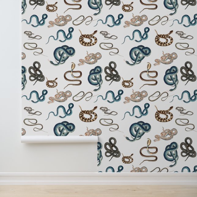 蛇カラフル爬虫類動物型 壁紙 (アプリケーション)