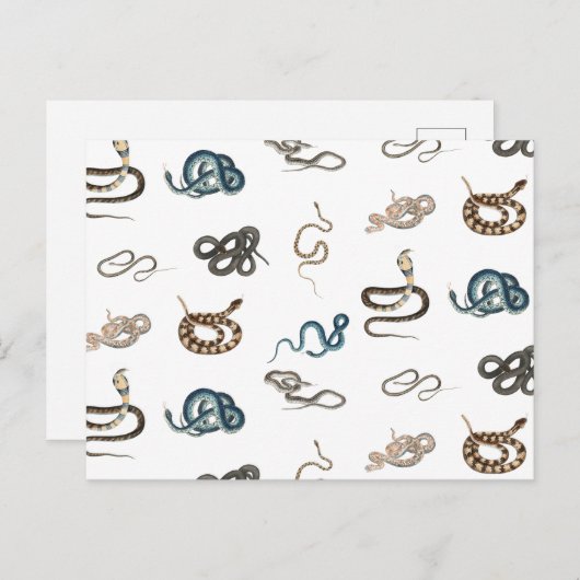 蛇カラフル爬虫類動物模様 シーズンポストカード (正面/裏面)
