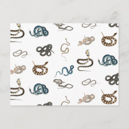 蛇カラフル爬虫類動物模様 シーズンポストカード
