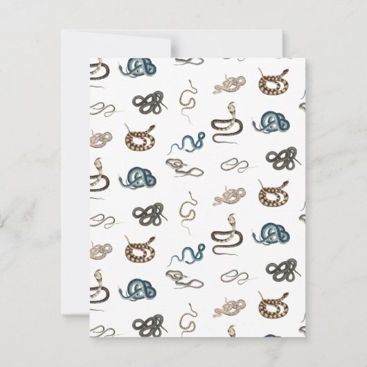 蛇カラフル爬虫類動物模様 ノートカード (裏面)