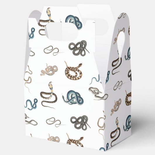 蛇カラフル爬虫類動物模様 フェイバーボックス (オープン)