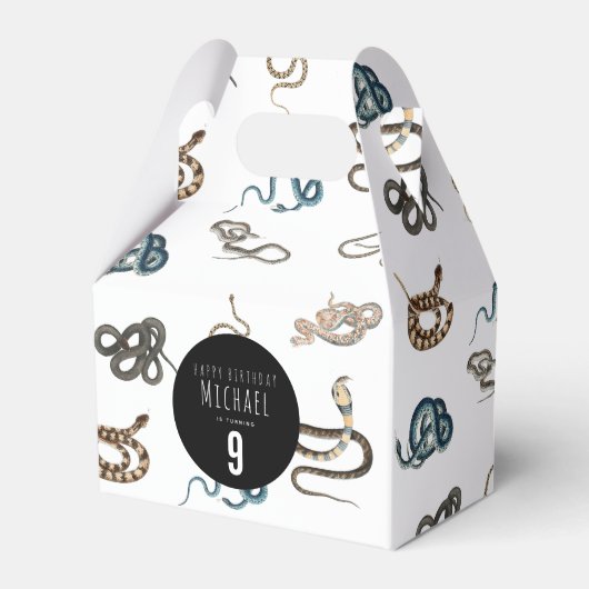 蛇カラフル爬虫類動物誕生会 フェイバーボックス (正面サイド)