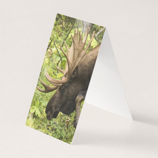 蛇行マウス (裏面)