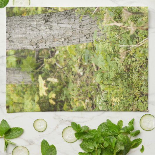 蛇行マウス キッチンタオル (折り畳み)