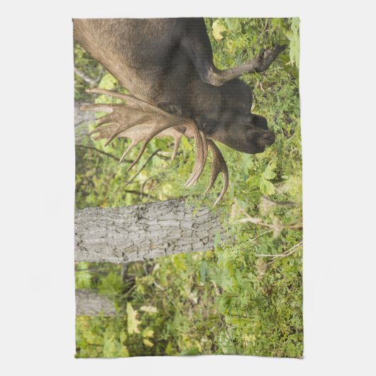 蛇行マウス キッチンタオル (縦)