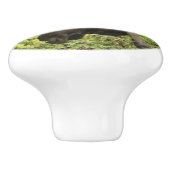 蛇行マウス セラミックノブ (側面)