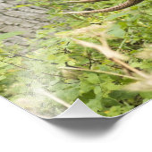 蛇行マウス フォトプリント            (角)