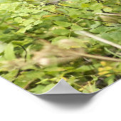 蛇行マウス ポスター (角)