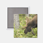 蛇行マウス マグネット (正面/裏面)