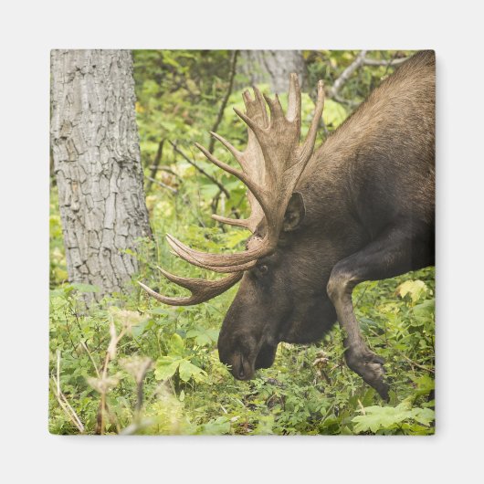 蛇行マウス マグネット (正面)