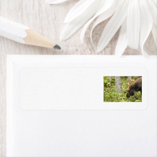 蛇行マウス ラベル (インサイチュ)