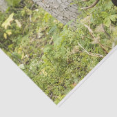 蛇行マウス 薄葉紙 (詳細)