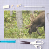 蛇行マウス 薄葉紙 (クラフト)