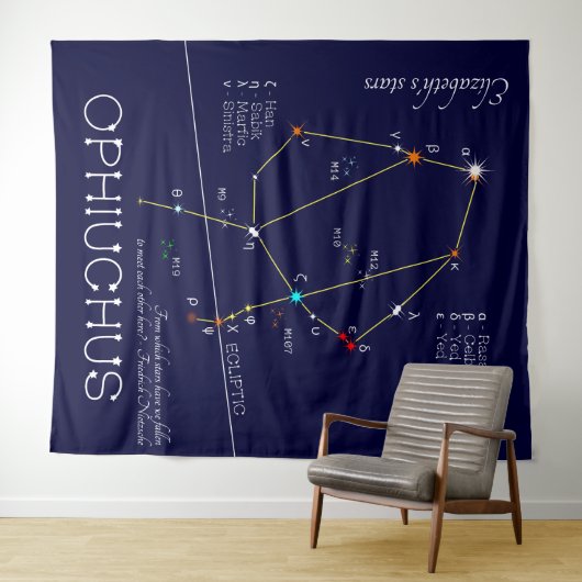 蛇遣い座 タペストリー (インサイチュ(横))