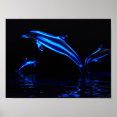 蛍光の存在 ポスター (正面)