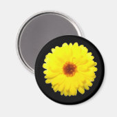 蛍光性マリゴールド磁石 マグネット (正面/裏面)