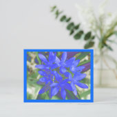 蛍光色の青い雪はがきの栄光 ポストカード (スタンド正面)