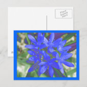 蛍光色の青い雪はがきの栄光 ポストカード (正面/裏面)