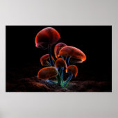 蛍光(2009) ポスター (正面)