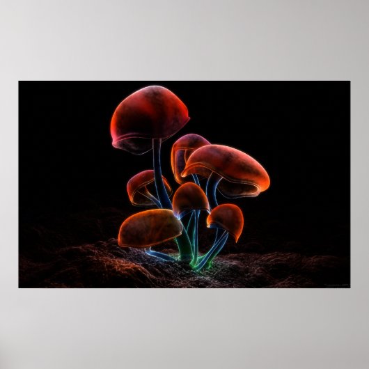 蛍光(2009) ポスター (正面)