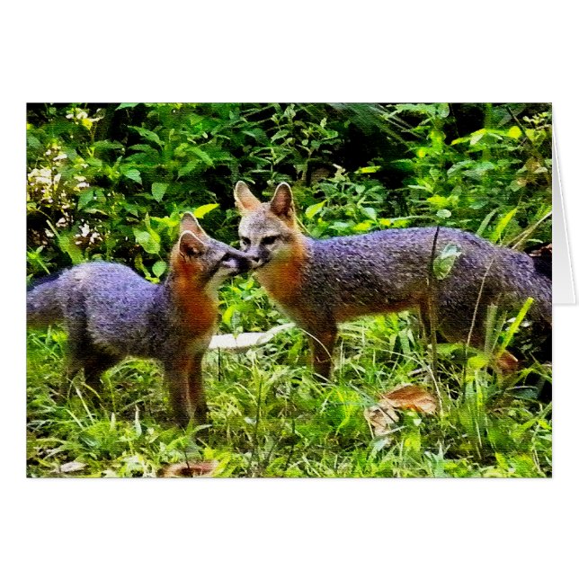 蛙の子は蛙 (正面横)