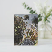 蛙を生み出すポストカードを持つ蛙 ポストカード (スタンド正面)