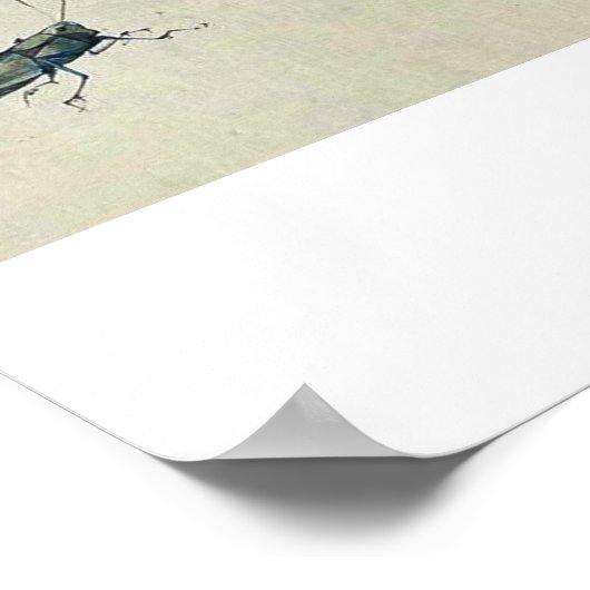 蛙、カタツムリ、昆虫 ポスター (角)