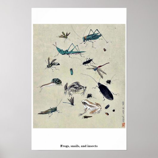 蛙、カタツムリ、昆虫 ポスター (正面)