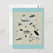 蛙、カタツムリ、昆虫 ポストカード (正面/裏面)