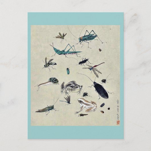 蛙、カタツムリ、昆虫 ポストカード (正面)