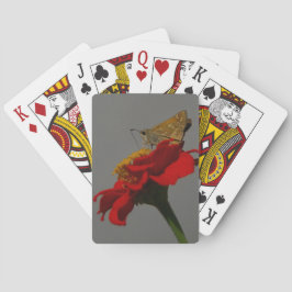 蛾と花 トランプ