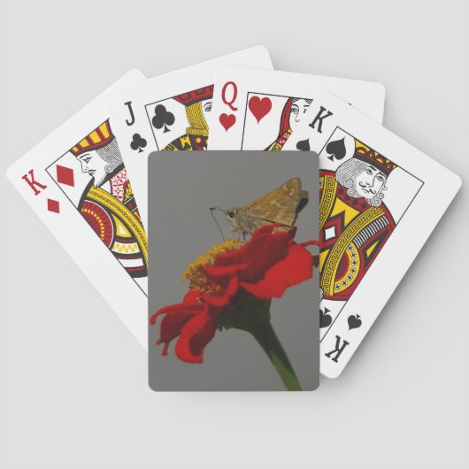 蛾と花 トランプ (裏面)