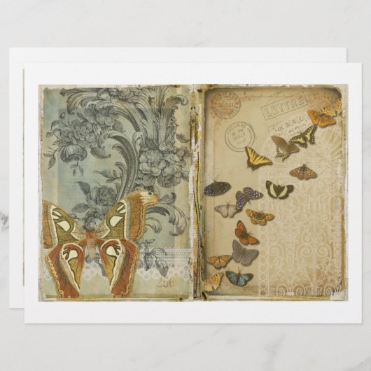 蛾と蝶ジャンクジャーナルスクラップブック紙 (正面/裏面)