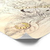 蛾と蝶 ポスター (角)